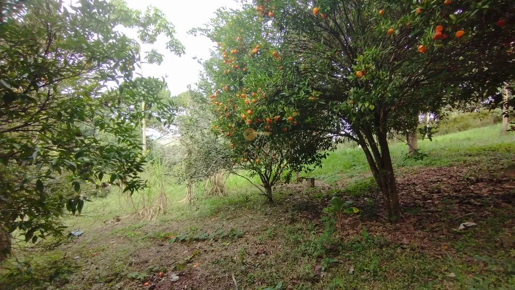 Imagem Terreno em Condomínio para Venda em Teresópolis / RJ no bairro Green Valley