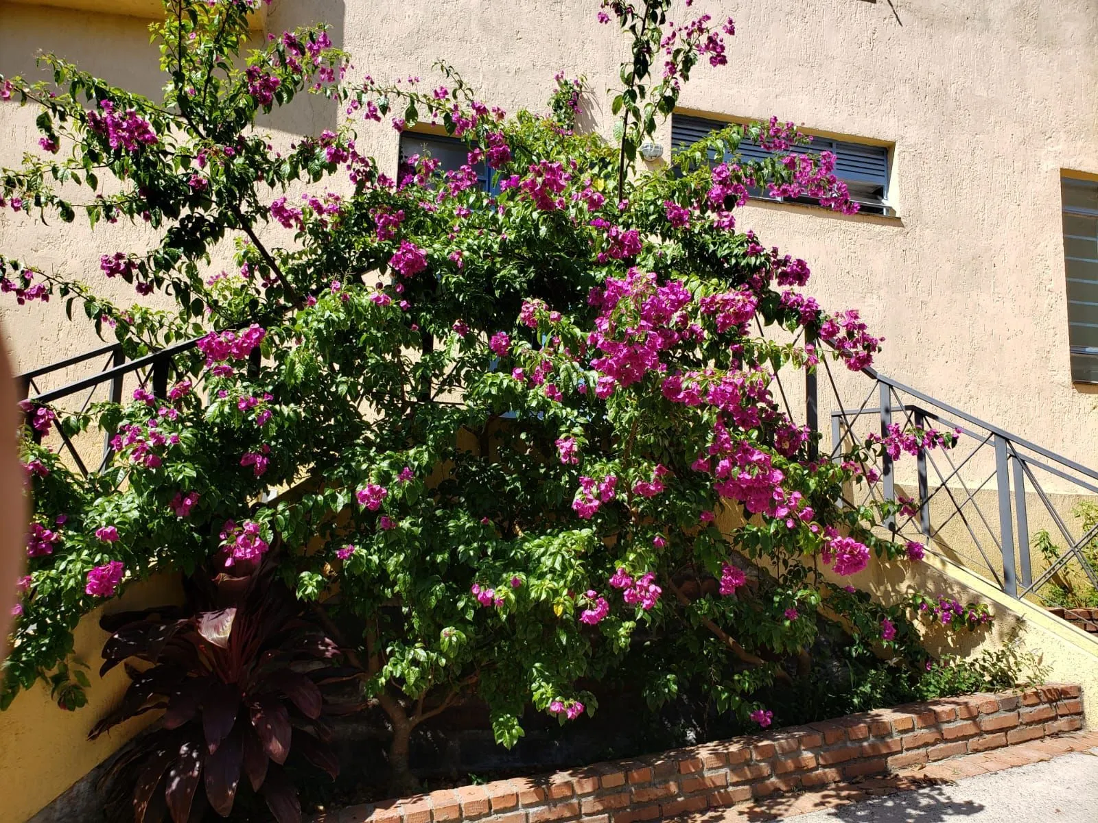 Imagem Casa Centenária no Bairro Belém Velho Residencial/Comercial