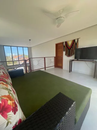 Imagem Casa Branca - Bromélias