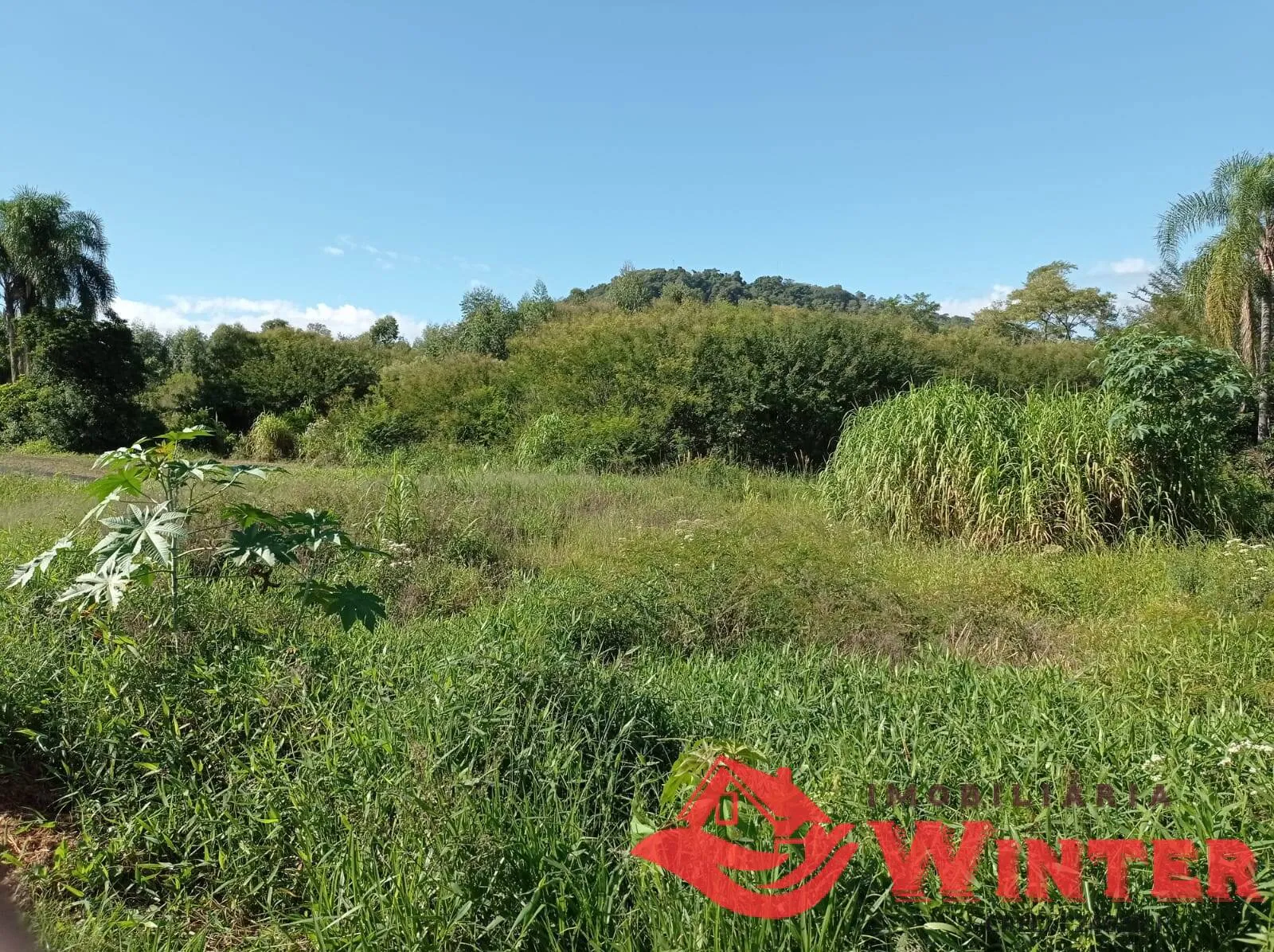 Imagem Área de Terra Urbana de 3.000m² em Bom Fim Alto , Bom Princípio.