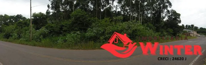 Imagem Área de terra com 7.884,70m² no São Roque/ Feliz.