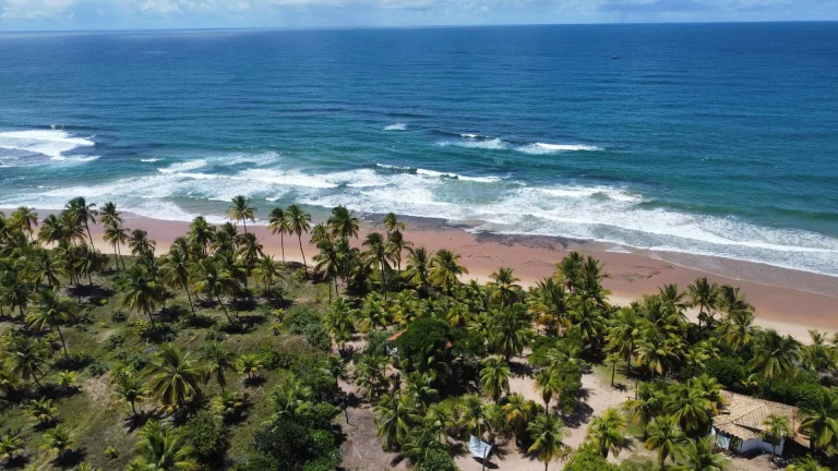 Imagem SÍTIO FRENTE MAR - MM