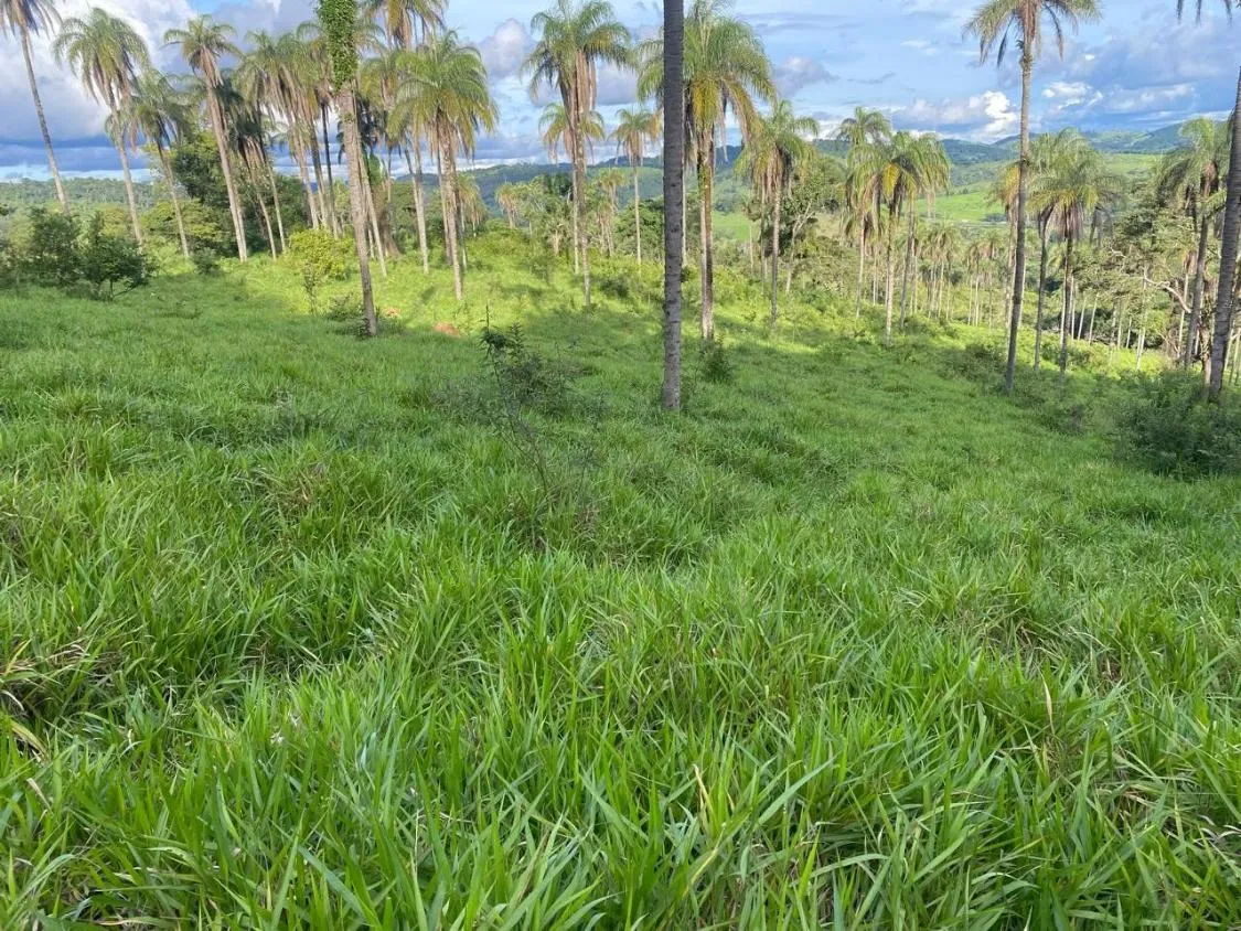 Imagem Excelente Terreno à Venda em Itaguara/MG: 19 Hectares com Fácil Acesso à BR-381