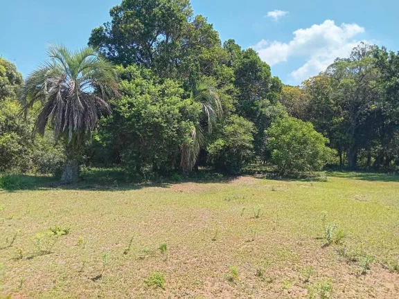 Imagem 2 HECTARES, Casa simples, Galpão, Piscina e Açude, Pimenta, Viamão/RS.