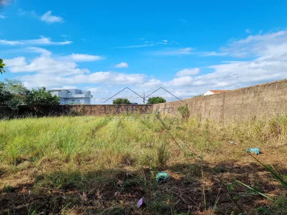 Imagem Terreno Padrão