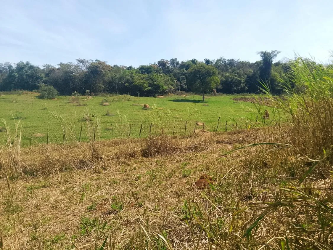 Imagem TERRENO COMPLETO COM 8 ALQUEIRES ? PRÓXIMO A RIO MANSO