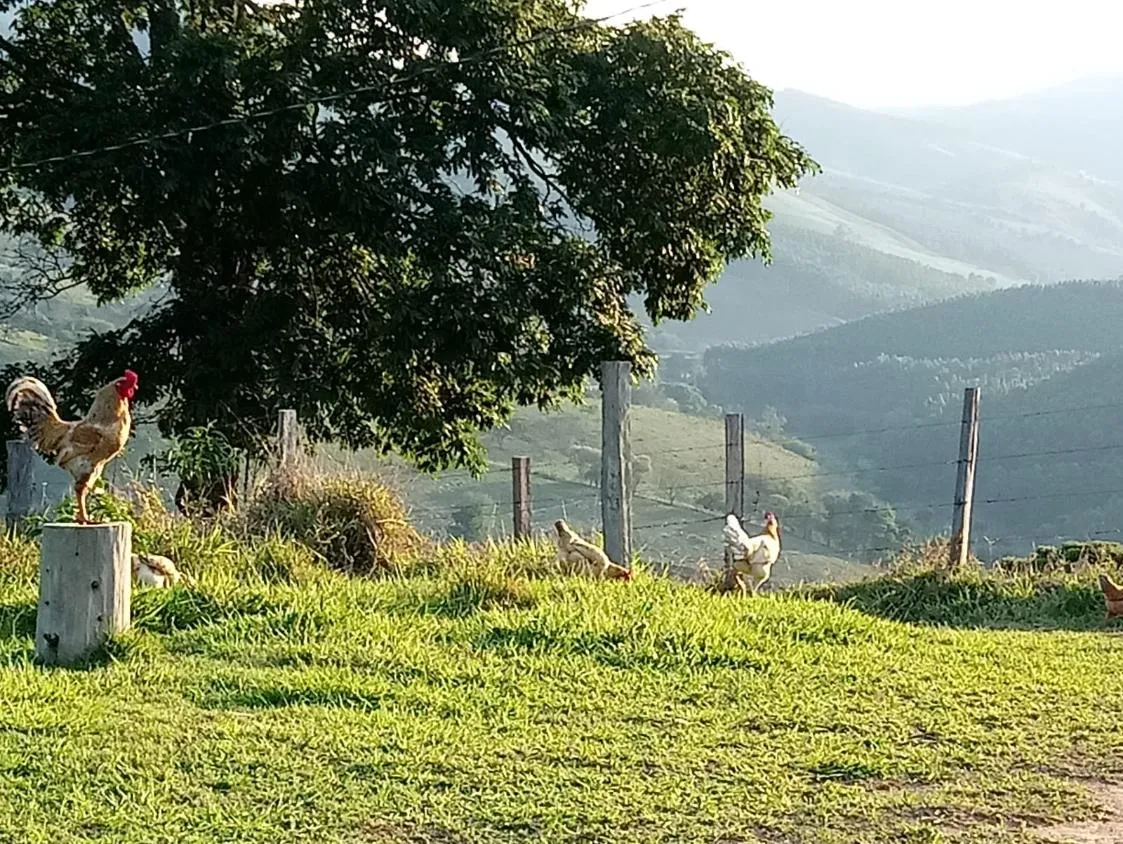 Imagem Chácara com 20.000 m² ? Bairro Barrocão, Piracaia/SP