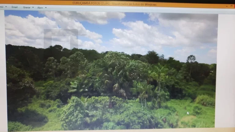 Imagem CASAL IMÓVEIS VENDE GRANDE ÁREA 72.000 M2