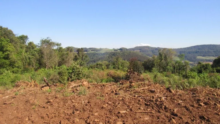 Imagem Casa para Venda em Lindóia do Sul, Centro, 1 dormitório, 1 banheiro