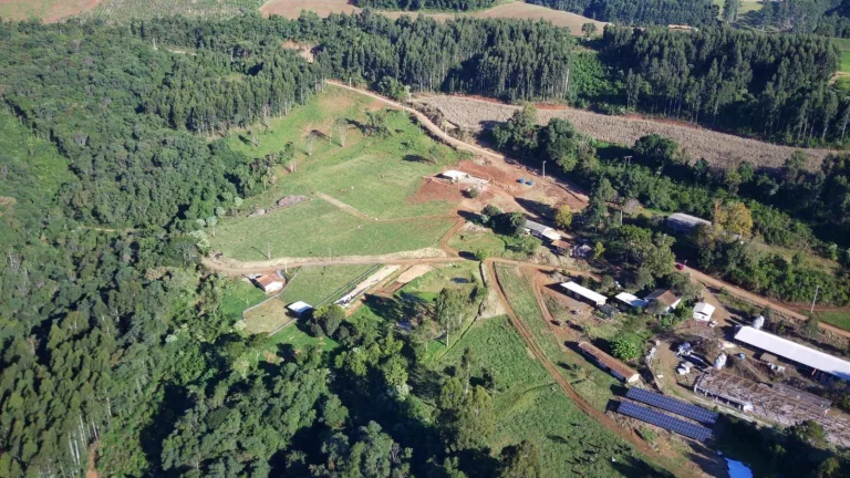 Imagem Fazenda para Venda em Concórdia, Interior