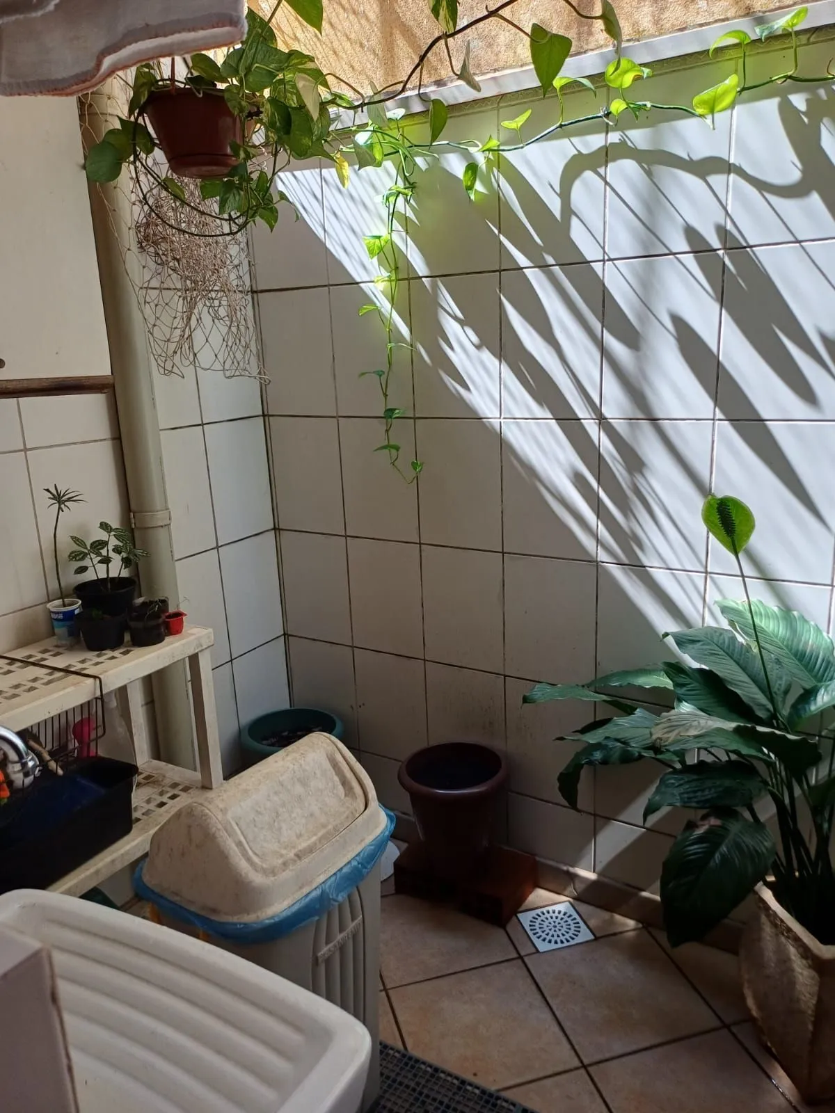 Imagem Casa em Camaquã