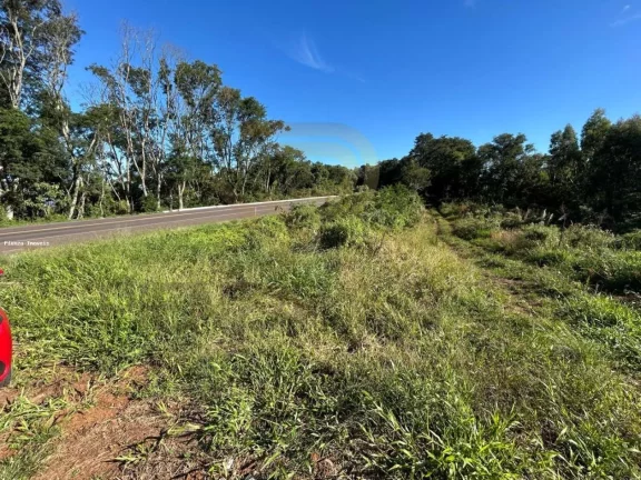 Imagem Área Agrícola para Venda em Irani, Br 153