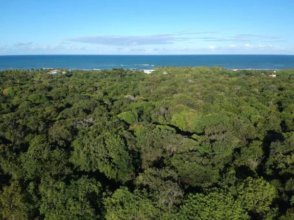 Foto do imóvel ÁREA NA PONTA DA BALEIA