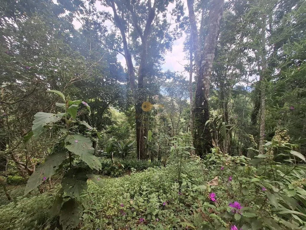 Imagem Terreno para Venda em Teresópolis / RJ no bairro Albuquerque