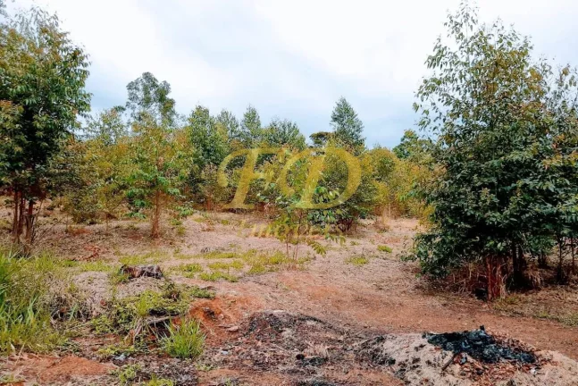 Imagem Chácara em Terra Preta - Mairiporã