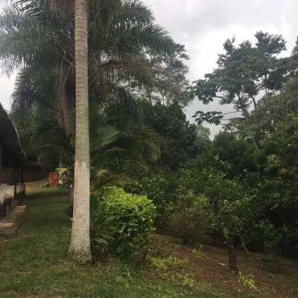 Imagem Chácara Piracaia 4.300 m² à 200 metros do asfalto!!