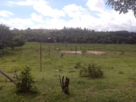 Imagem Chácara com 4 Quartos à Venda, 25.000 m²em Jardim Palmeiras - Caçapava