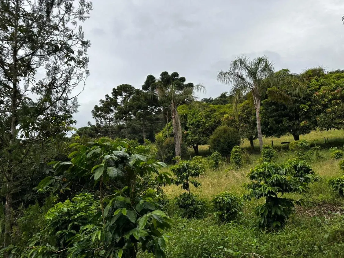 Imagem Vendo um ótimo terreno com 13 hectares de área total , em Crucilândia / MG