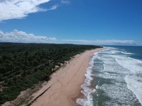 Imagem Paraíso frente mar