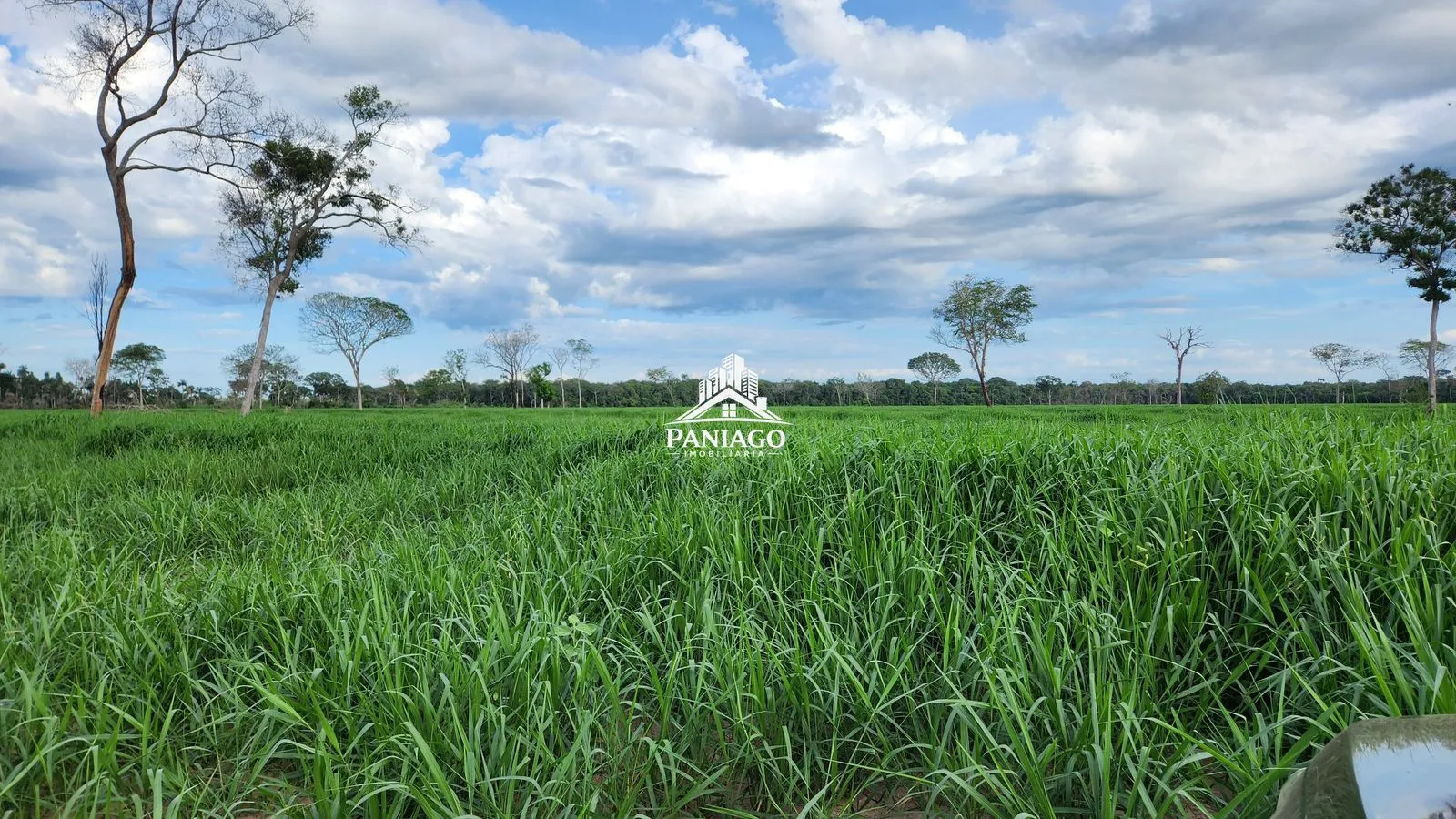 Imagem Fazenda 1550ha