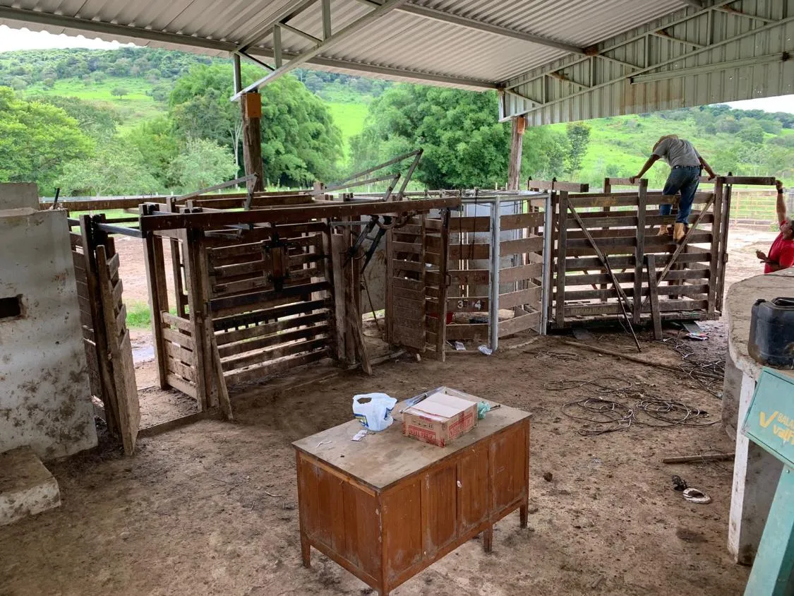 Imagem Vendo uma magnífica fazenda em Santo Antônio do Amparo/MG 318 hectares