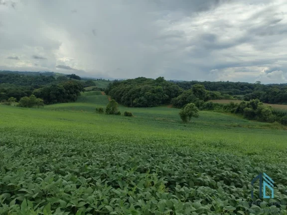 Imagem Terreno com 9,2 Alqueires, área verde ideal para plantio ou construção, em Campo Largo PR