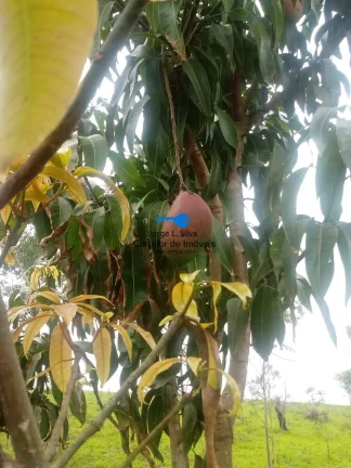Imagem Mini Chácara com 2 dormitórios 1 banheiro Sala - Cozinha e Piscina !