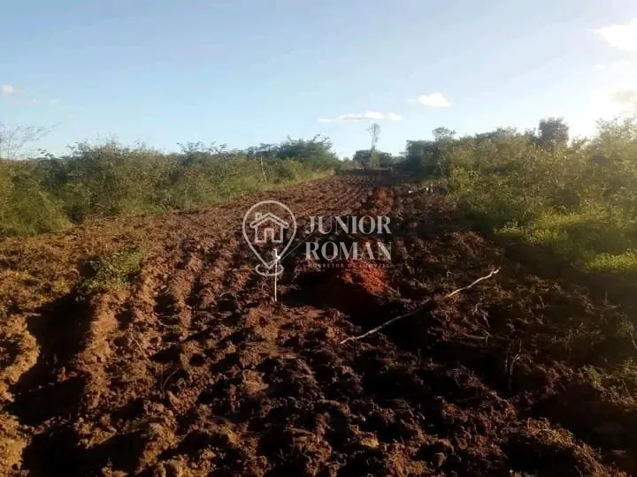 Imagem FAZENDA - 91,5 HECTARES - CRISTOPOLIS/BA