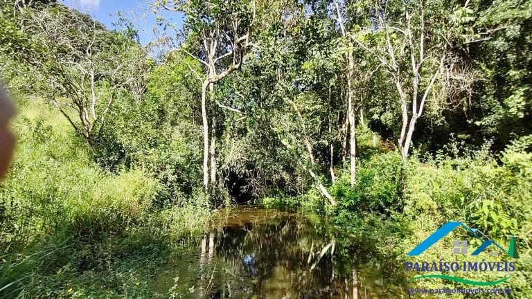 Imagem Paraíso Particular: 14,32 ha, com Vista Panorâmica e Natureza Preservada!