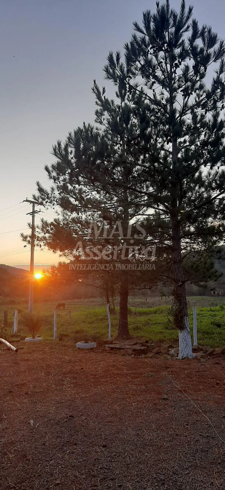 Imagem Área com 5.000 m² Para Venda em Taquara Bairro Pega Fogo