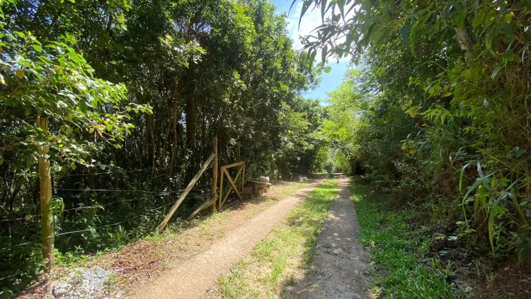 Imagem Terreno à venda na Praia do Rosa, Imbituba-SC, com 3.418m²: oportunidade de investimento!