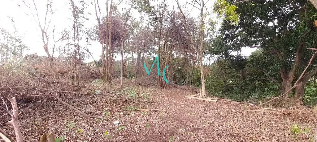 Imagem Área para alugar, 2400 m² por R$ 11.830,00/mês - Campo Grande - Rio de Janeiro/RJ