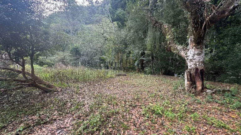 Imagem Chacara com 3 mil metros - Canindu