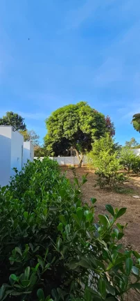 Imagem ÓTIMA CHACÁRA Á VENDA NO CONDOMINÍO RECANTO CAMPESTRE OURO VERDE EM FRANCA/SP