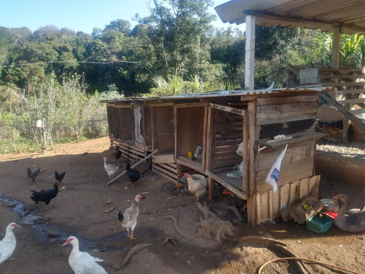 Imagem Sítio para Venda em Tuiuti, Rural, 3 dormitórios, 1 suíte, 4 banheiros, 10 vagas
