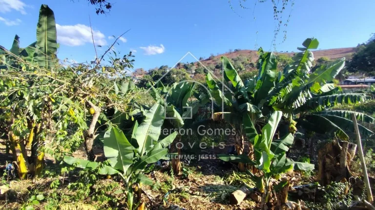 Imagem Chácara à venda - Boacha do Bugre - MG