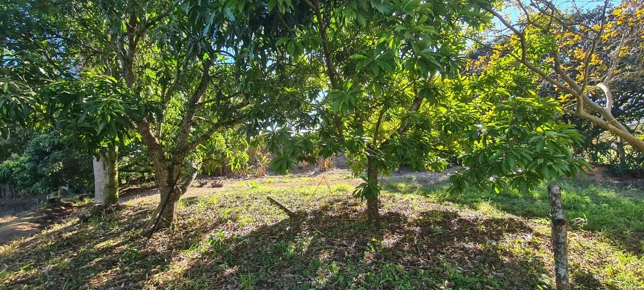 Imagem Chácara à venda em Quadra-SP, bairro Aleluia: 3 quartos, 1 sala, 2 banheiro, 120,00m² de área. Imperdível!