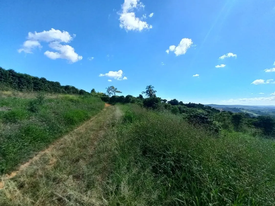 Imagem FAZENDA À VENDA - SANTO ANTÔNIO DO AMPARO (MG) 948 hectares de área total