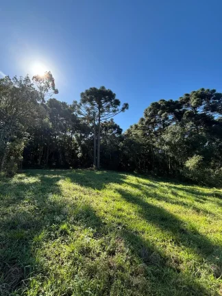 Foto do imóvel Chácara para venda em Caxias do Sul