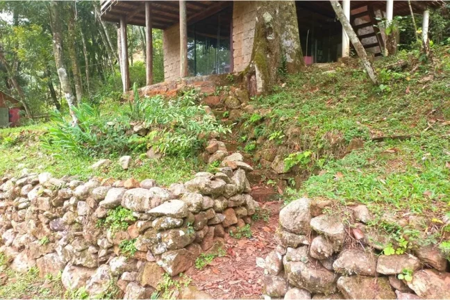 Imagem Fazenda/Sítio para venda no bairro Rolante em Rolante