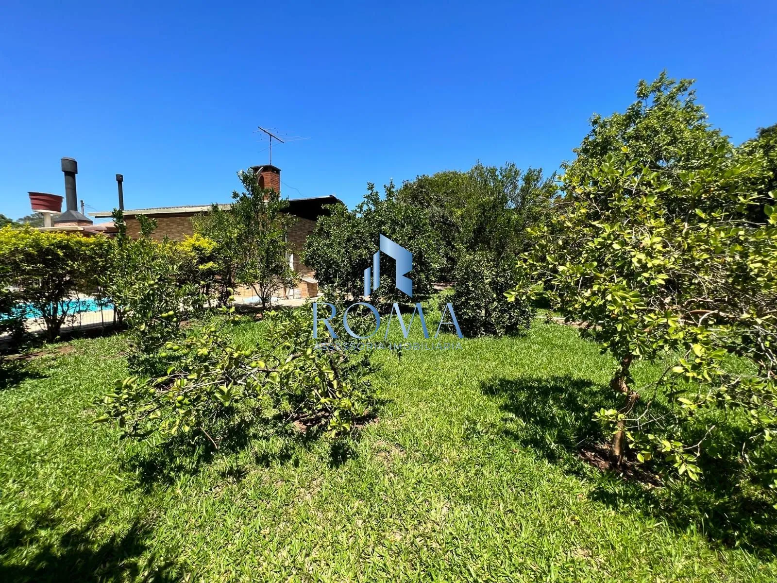 Imagem Sítio 3 dormitórios à venda Pains Santa Maria/RS