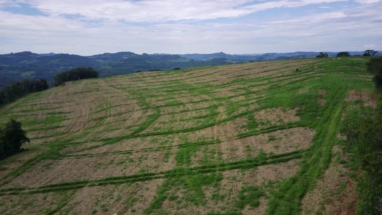 Foto do imóvel Área Agrícola para Venda em Concórdia, Rancho Grande em Sc-390