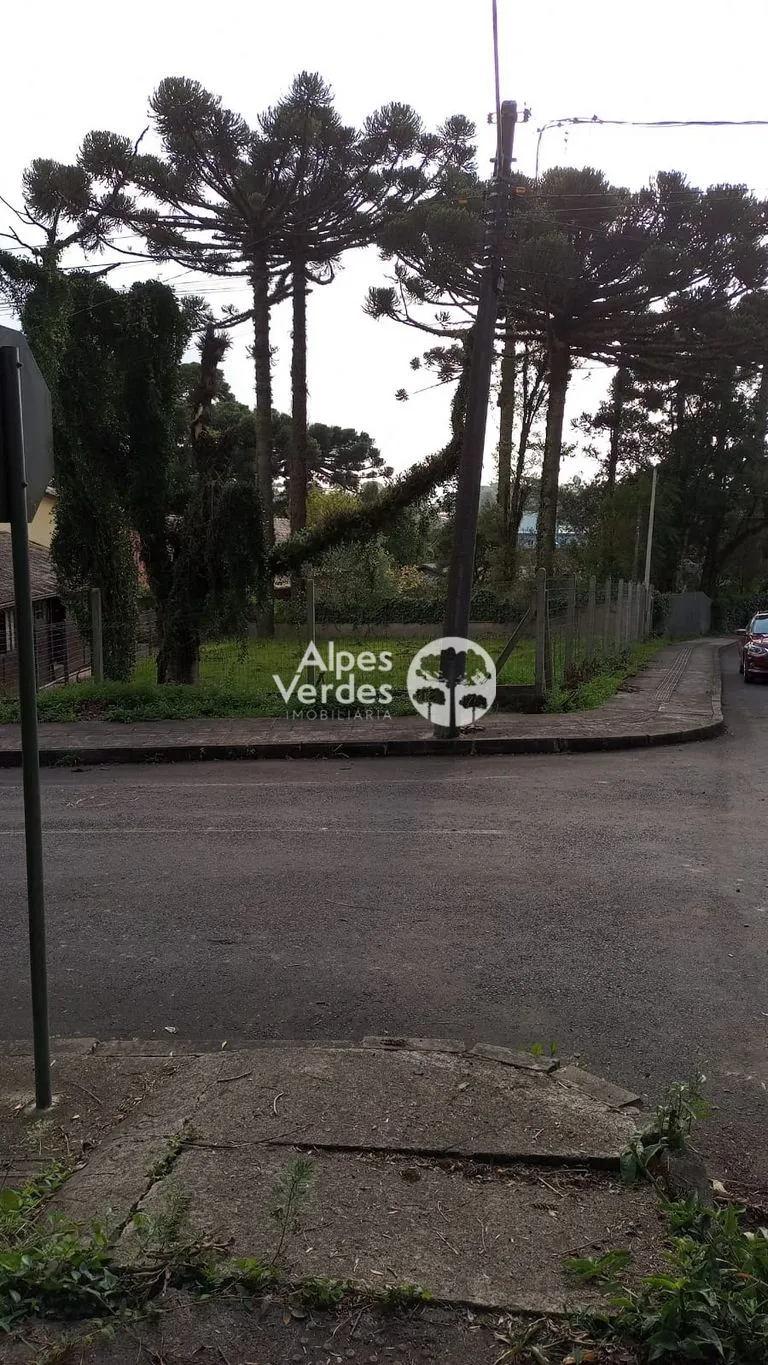 Imagem Vende-se Terreno com Projeto aprovado no Bairro Palace Hotel