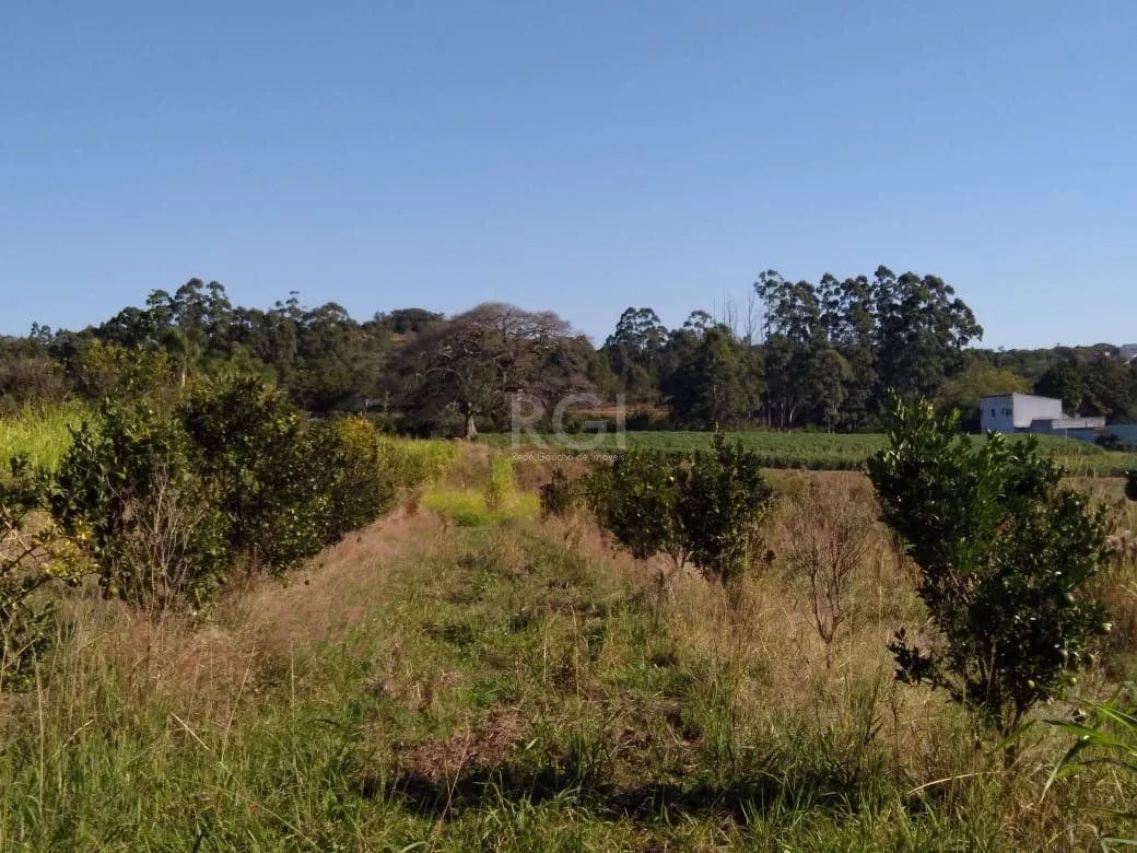 Imagem Area para Venda - 36.900m² - Campo Novo