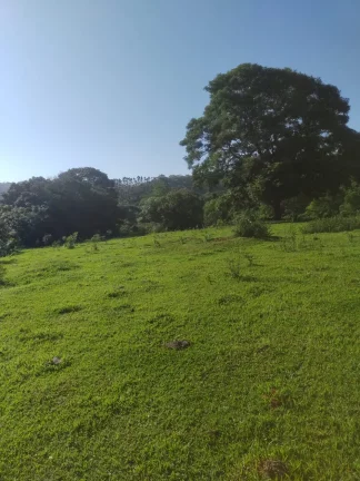 Imagem Sítio à venda  Agudos/SP  12 alqueires  Área rural