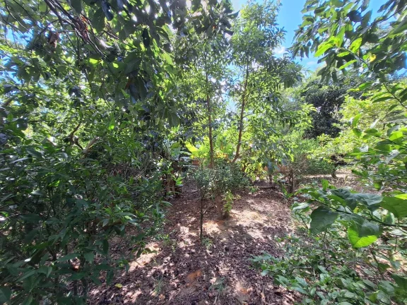 Imagem Horzem Imóveis vende sítio com 10.500m² em Boa Vista – Viamão/RS