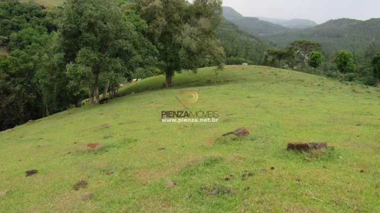 Imagem Área Agrícola para Venda em Ipumirim, Interior