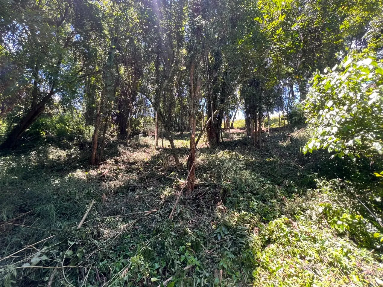Imagem Terreno à 600mts da Repressa de Itupararanga no Loteamento Saveiros de Ibiúna