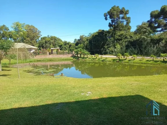 Imagem Terreno a venda, Área de 3.8 hectares em Fores da Cunha - Otávio Rocha RS