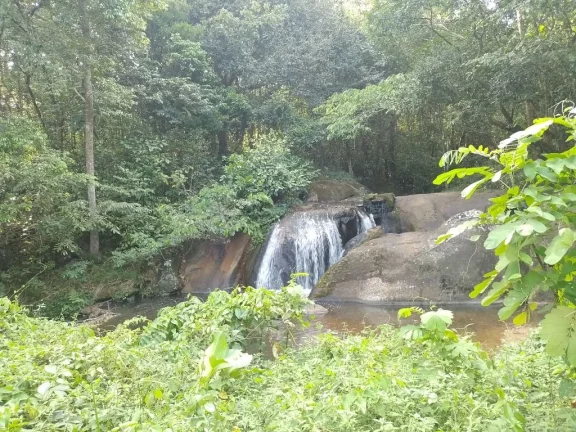 Foto do imóvel Chácara de 49.736m² à venda, com duas casas e uma casa de caseiro, localizada em Aldeia, Camaragibe - Pernambuco.